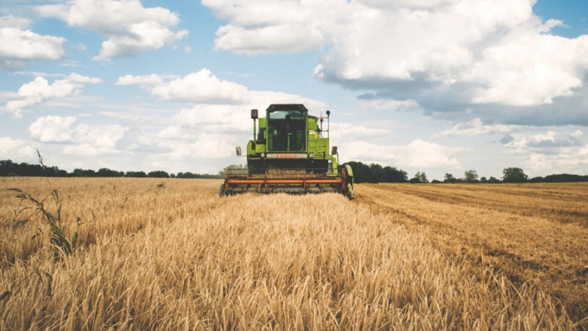 IICA destaca su trabajo en el desarrollo agropecuario y rural de América