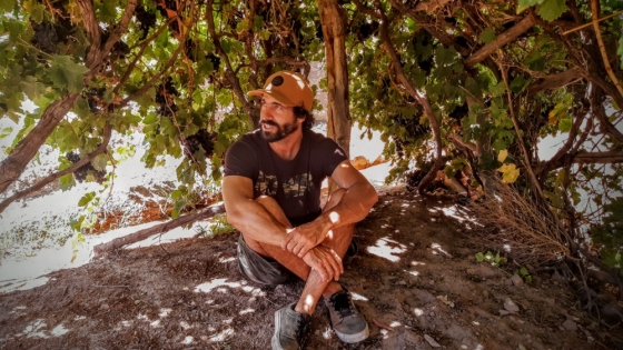 Vinos orgánicos, biodinámicos y naturales: el camino sustentable de una bodega mendocina