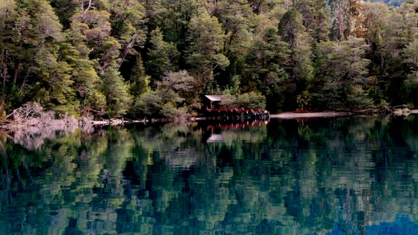 Biodiversidad en el Parque Nacional Los Alerces