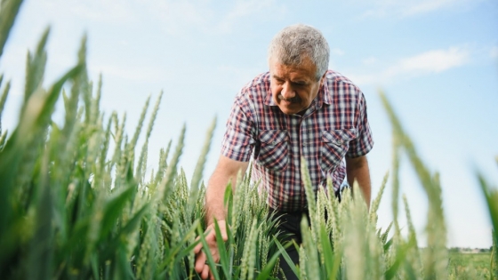 OCP Nutricrops pone el foco en la fertilidad del suelo y presenta su estrategia de nutrición