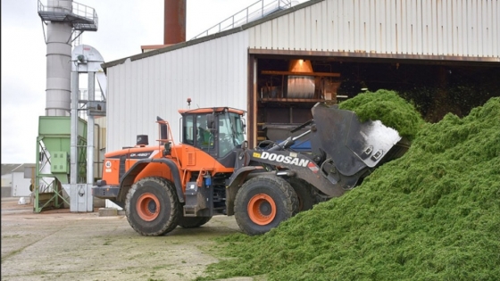 <Francia: la alfalfa puede ser un sustituto de la soja en sistemas lecheros