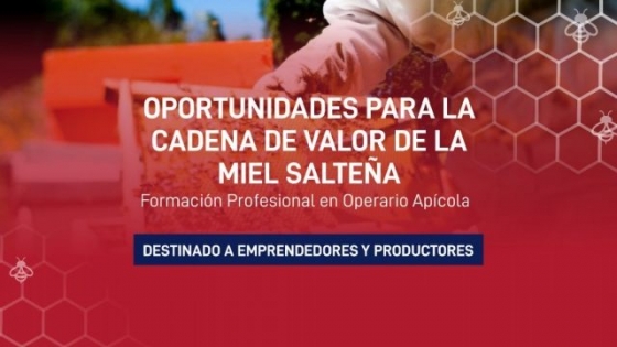 Apicultura en Salta: dictarán cursos para emprendedores y productores