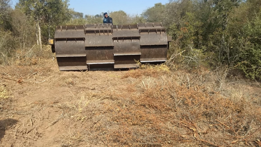Se realizó operativo por desmonte ilegal