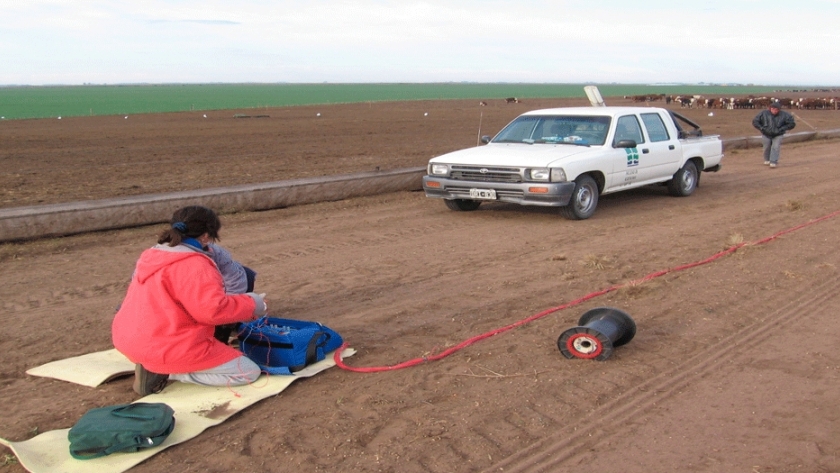 Contaminación en feedlots: del corral a las napas