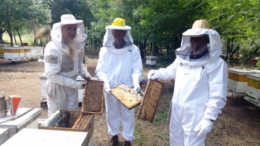 Primera exportación de abejas reinas desde Entre Ríos a la República Oriental del Uruguay