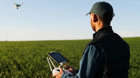 La inteligencia artificial y la oportunidad para el agro argentino