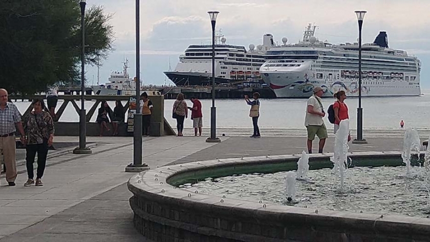 Temporada de cruceros: intenso movimiento en Puerto Madryn y la región por la llegada de turistas