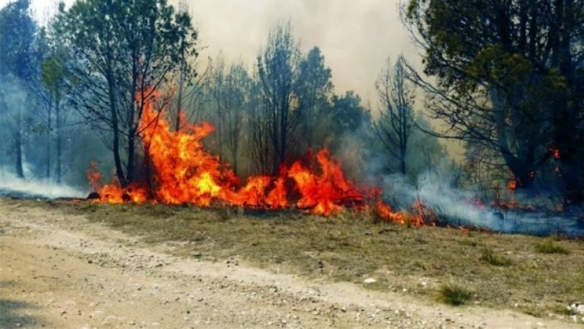 Jujuy prepara acciones preventivas ante la amenaza de incendios forestales