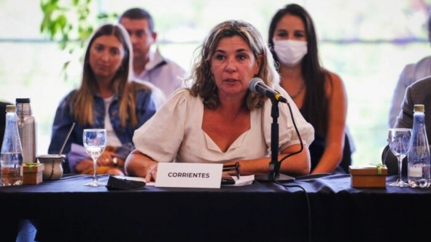 Con feria gastronómica y espectáculos musicales, finalizó la primera jornada del Congreso Ecoturístico del Litoral