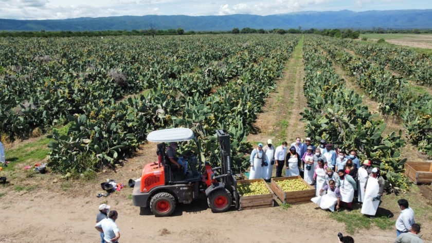 Raúl recorrió campos productivos en el Valle Central y Este y entregó maquinaria de trabajo