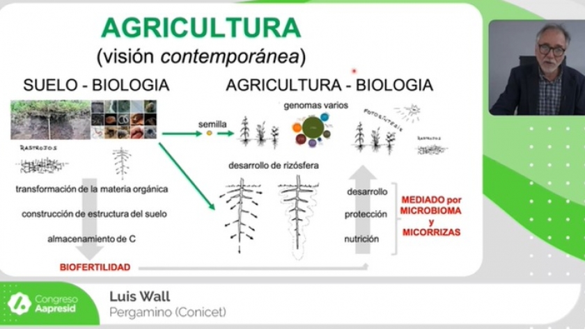Reconstruir la física y la fisiología del suelo a través de su biología (con agricultura de procesos)