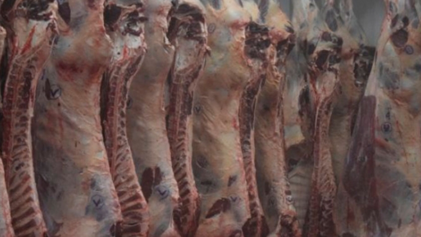 Paraguay en el top cinco mundial de los países que más carne bovina exportan por habitante