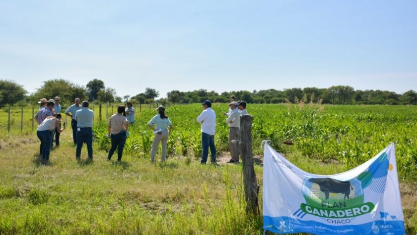 El Gobierno Provincial acercó asistencia a más de 1.400 productores ganaderos en 2021 y fortaleció acompañamiento al sector