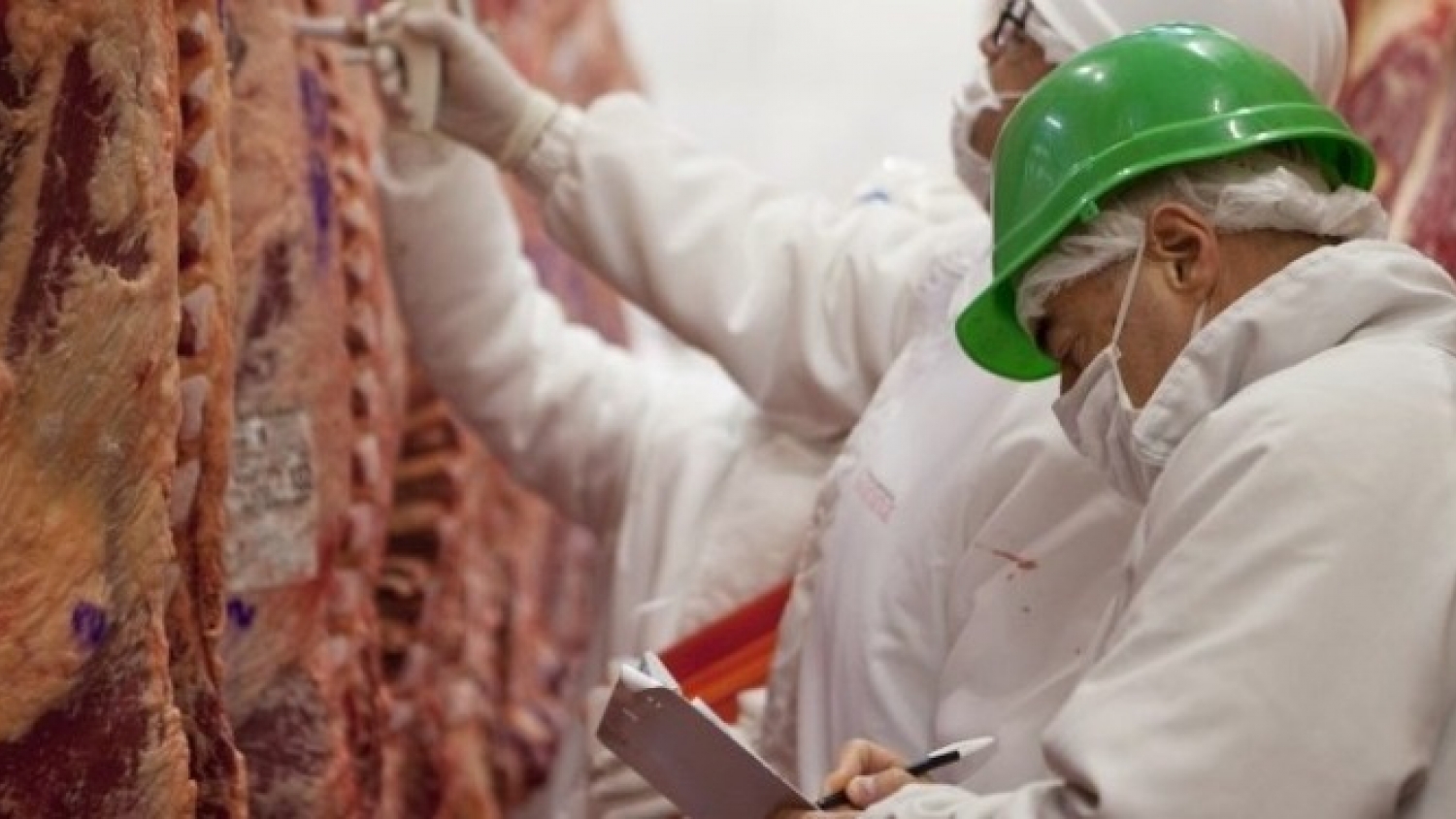 La caída de la faena acelera un nuevo esquema de control contra la evasión en frigoríficos