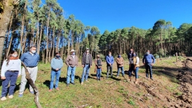 En el cerro Pereyra, se está llevando adelante un proyecto de desarrollo forestal que beneficiará a los productores de la zona
