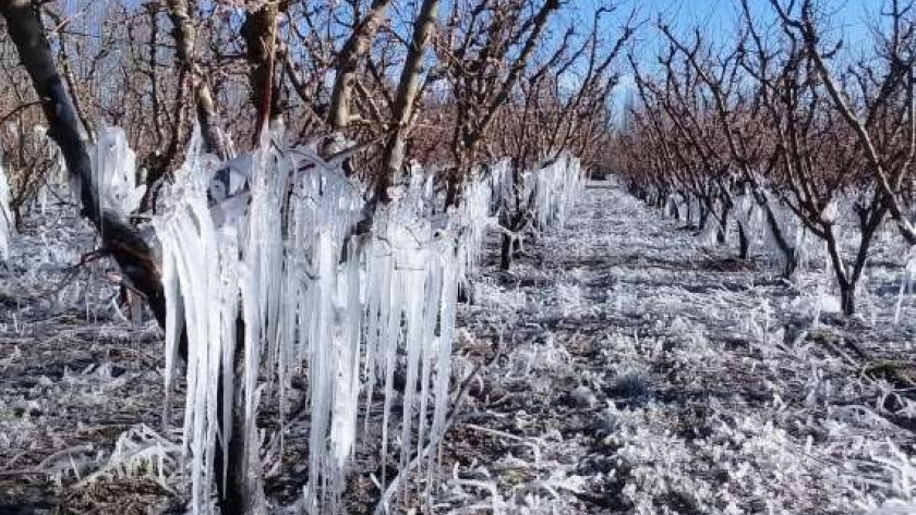 El programa Cultivar, la línea de créditos de $500 millones para mitigación de riesgo climático