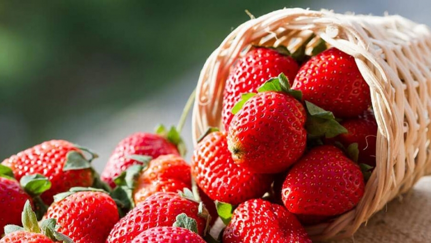 La Provincia acompaña al sector productor de frutillas