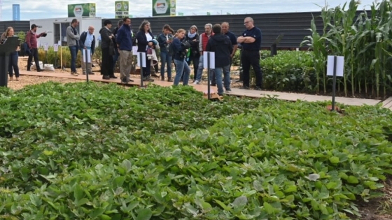 Tecnología y conocimiento para el campo: la apuesta del INTA en Expoagro 2026