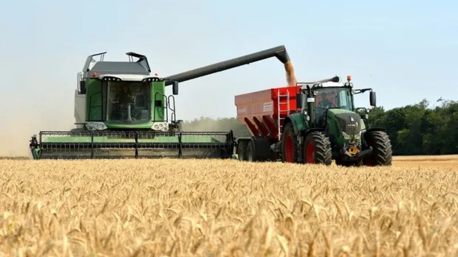 La cosecha de trigo arrancó en el norte con rindes alentadores y mejores perspectivas para el resto del país