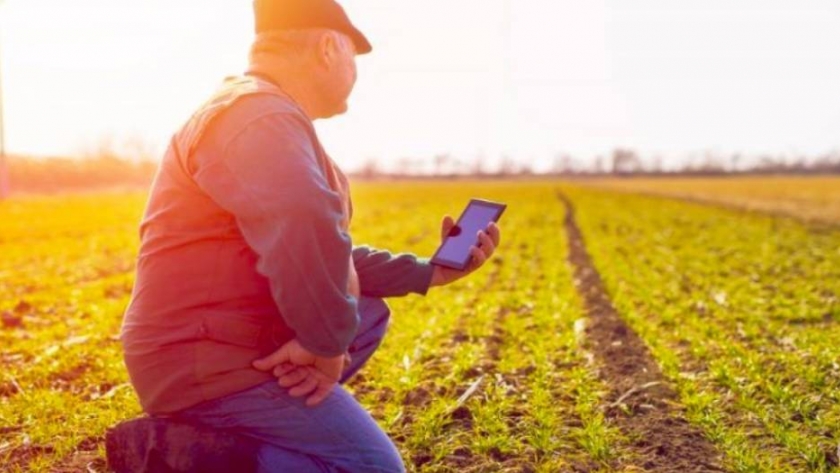 Desconectados: la mitad de los campos argentinos carece de internet