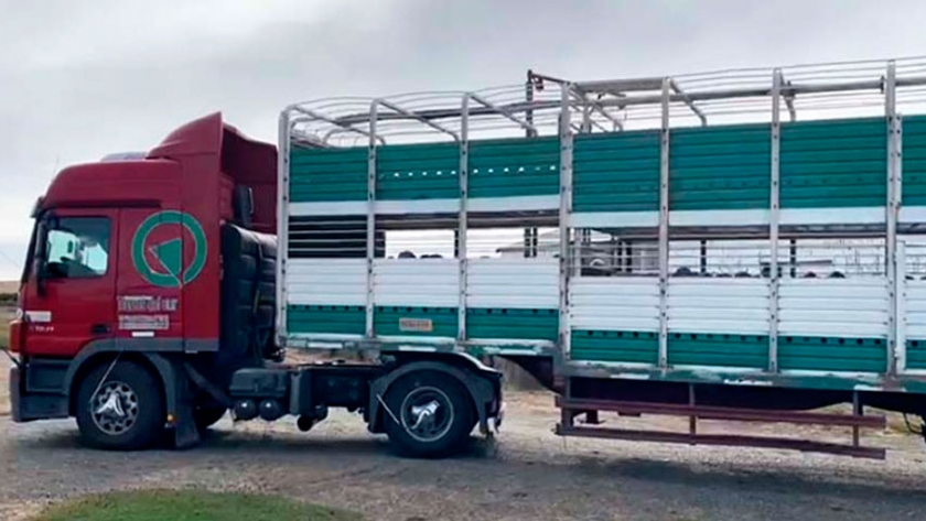 La solidaridad no es una palabra vacía de contenido para los productores ovinos