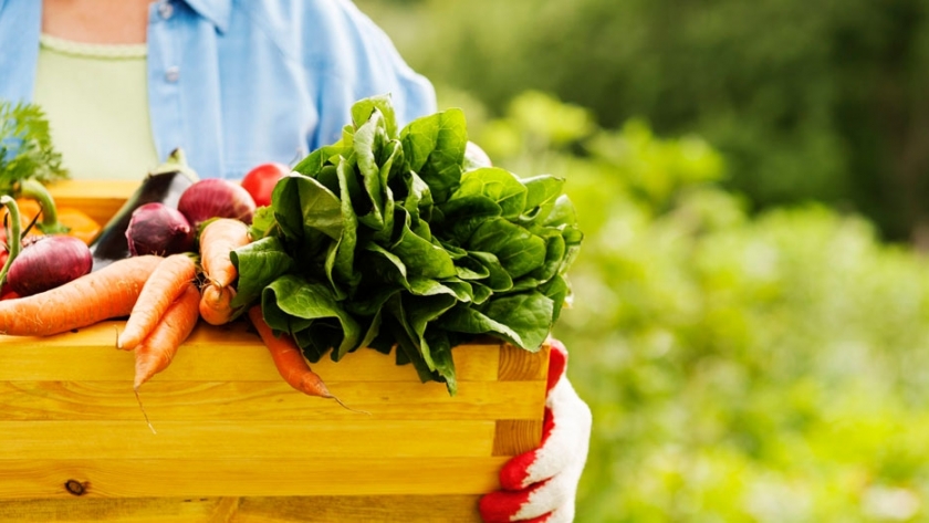 Mitos y realidades sobre los alimentos orgánicos