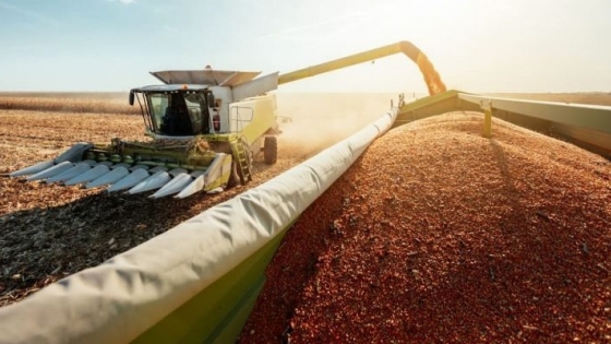 Novedades en el mercado de granos: Debut de contratos con dólar exportador