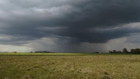Exceso hídrico en la región núcleo: cómo afectan las lluvias a trigo y granos gruesos