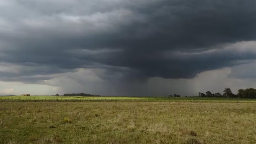 Exceso hídrico en la región núcleo: cómo afectan las lluvias a trigo y granos gruesos