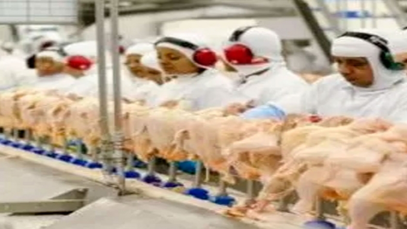 Avicultura brasileña trabaja para preservar la seguridad alimentaria del país