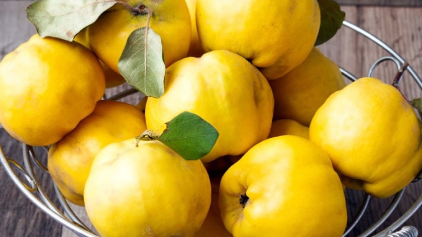 Membrillo, la fruta bien cuyana que hace bien a la digestión