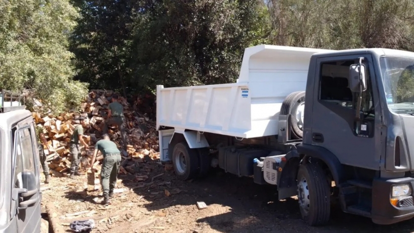 Río Negro avanza en una nueva política de gestión de Recursos Forestales