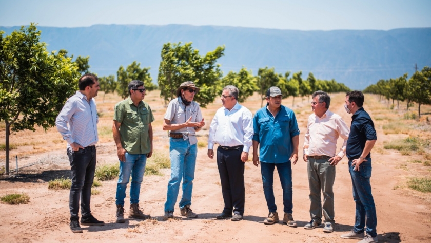 Raúl visitó emprendimiento productivo de nuez pecán