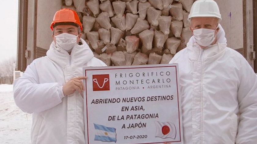 Exportaron corderos patagónicos hacia Japón