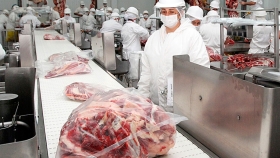 Aseguran que no es grave la presencia de ractopamina en carne y esperan habilitar más plantas para exportar a Rusia