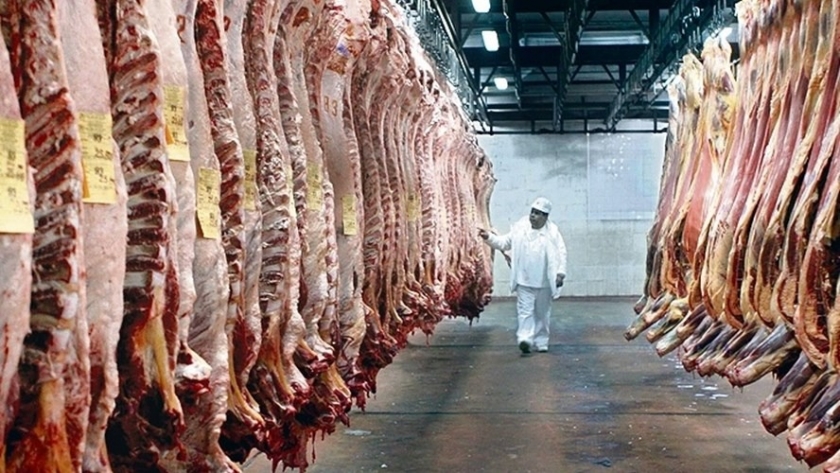 Proponen un sistema de modernización para el comercio de la carne en Santa Fe