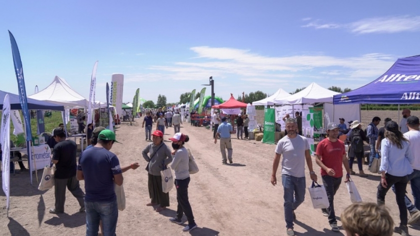Producción participó en un día de campo centrado en el tomate para industria en Mendoza