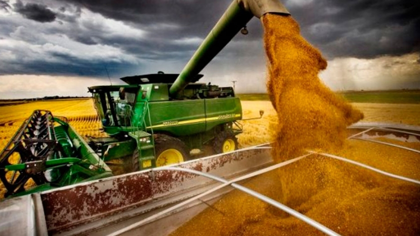 Nueva víctima: El gobierno argentino está a un paso de intervenir el mercado de trigo