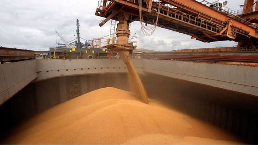 Las Cadenas Agroindustriales aportan 1 de cada 4 pesos recaudados por el Estado Nacional