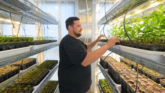 Córdoba lanza un innovador laboratorio de árboles nativos para impulsar la restauración ambiental y la producción forestal