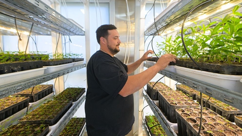 Córdoba lanza un innovador laboratorio de árboles nativos para impulsar la restauración ambiental y la producción forestal
