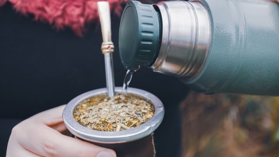 El coco, el complemento ideal para tu mate y energía durante todo el día