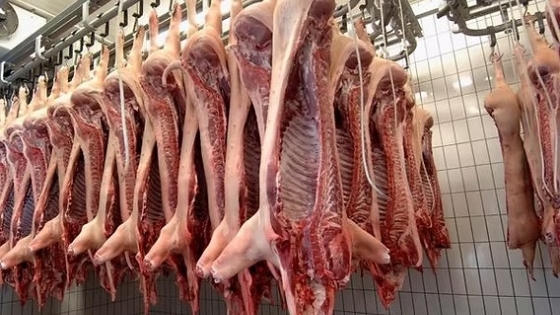 SENASA refuerza los controles sanitarios en establecimientos porcinos del norte bonaerense