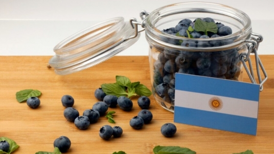 Desarrollan nuevas variedades de arándanos adaptadas al NEA para fortalecer la producción regional