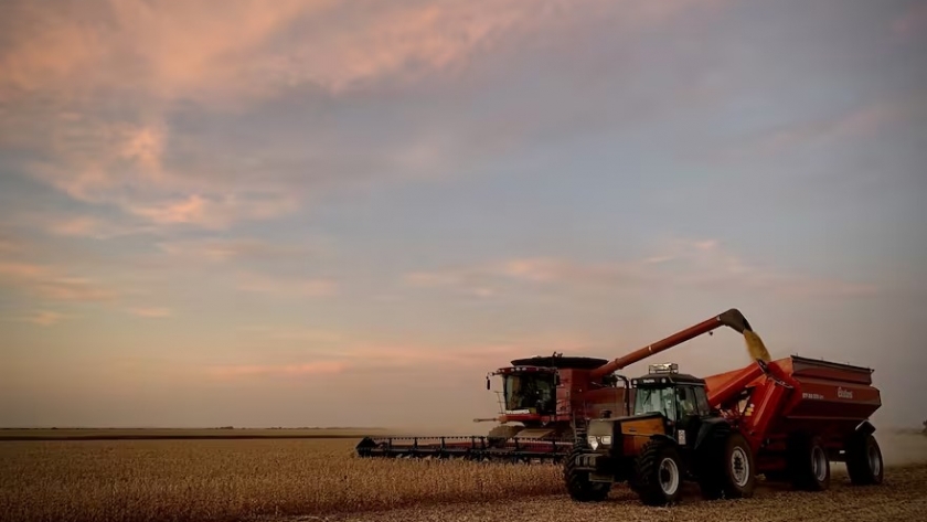 Proyecciones agrícolas 2024/25: un crecimiento que decepciona las expectativas