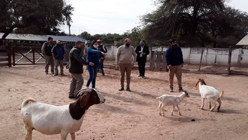 El ministro de Producción visitó la Cabaña Caprina provincial 