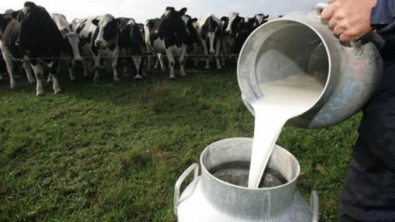 <El Gobierno Nacional busca fortalecer la producción de leche
