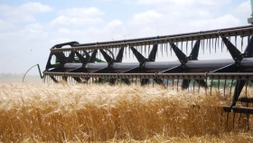 Trigo: cae la competitividad de Argentina para la campaña 2022/23