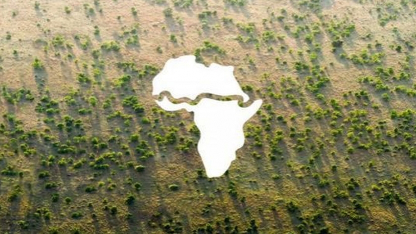 La ONU pide más apoyo para la Muralla Verde en África