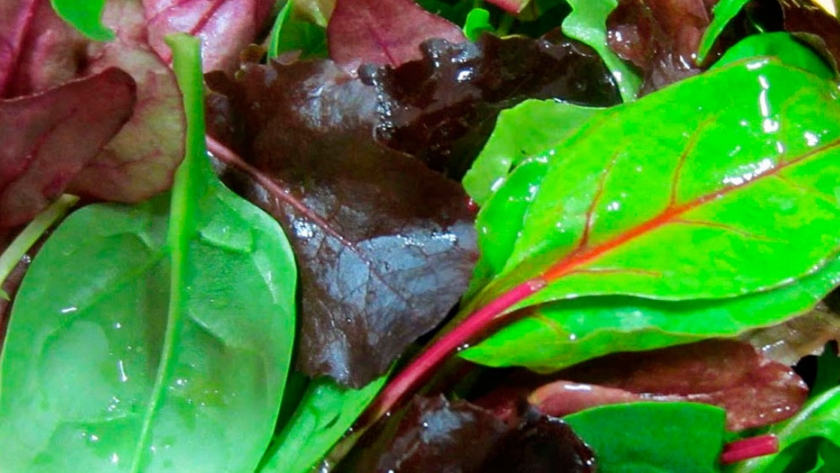 Compost biofertilizante para verduras con más vitaminas y antioxidantes